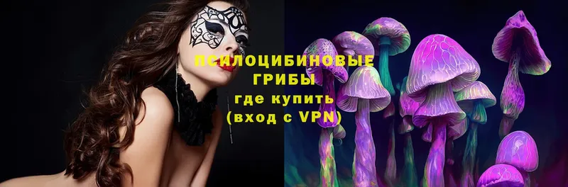 Псилоцибиновые грибы Magic Shrooms  Галич 